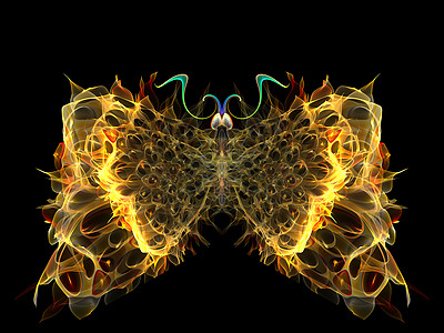 分形蝴蝶眼睛生物学昆虫数学航班想像力森林元素设计动物图片