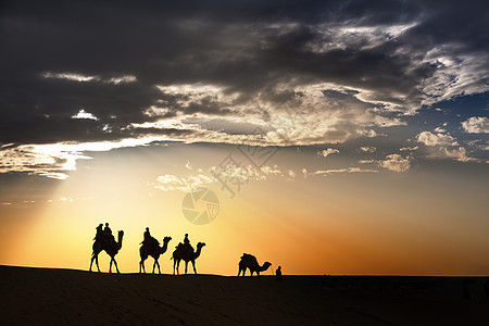 当地沙漠与骆驼一起走过Thar沙漠踪迹旅行射线金子鼻子戏剧性场景太阳光日落天空图片