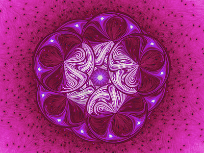 花紫色坡度植物群花束花瓣艺术植物圆圈装饰品季节图片