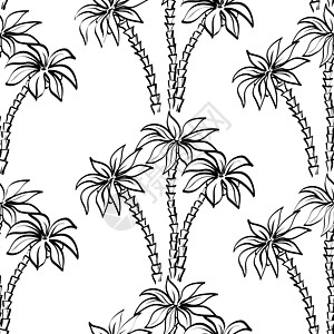 无缝结构 棕榈树轮廓装饰品异国情调热带木头织物植物植物群环境椰子图片