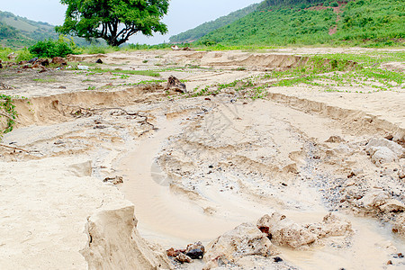 沙砂水侵蚀热带地面草地生态树木叶子土壤橙子场地生长图片