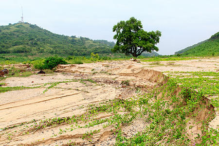 沙砂水侵蚀房子场地地球小屋叶子生态热带生长网络树木图片