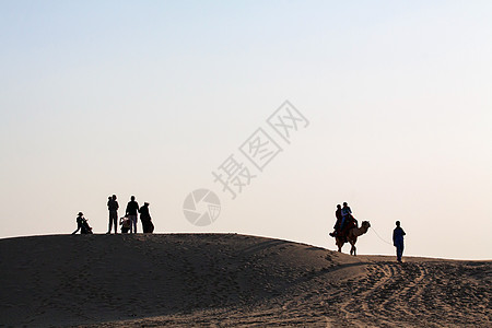 骆驼沙漠地貌的一对家庭团体夫妇图片