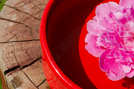 木制表面粘土碗中的粉红小马花瓣图片