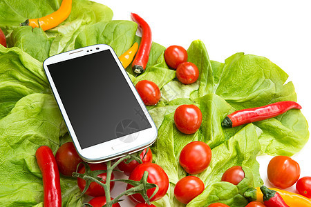 蔬菜和智能手机电话互联网饮食屏幕花园触摸屏农业沙拉程序辣椒图片
