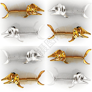 一组3D全方位的鱼骨架插图图片