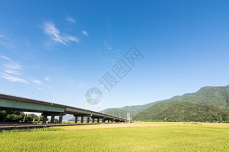 稻田景观蓝色场景牧歌季节农场天空场地谷物植物农村图片