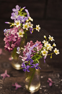 春花布束花瓶桌子玻璃紫色庆典百合生活美丽植物群花园图片