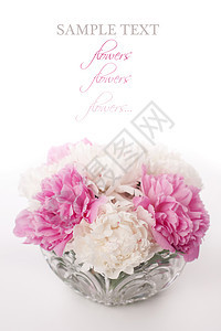 美丽的小马花花花瓶植物群牡丹季节卡片风格花束婚礼植物装饰图片