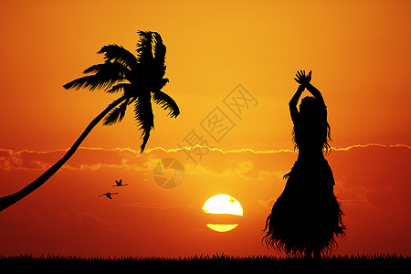 夏威夷舞蹈舞蹈家蜜月肚皮热带情调草裙女士女孩海滩花朵图片