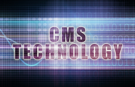 CMS 技术解决方案概念激光市场插图生长领导者部门软件公司图片