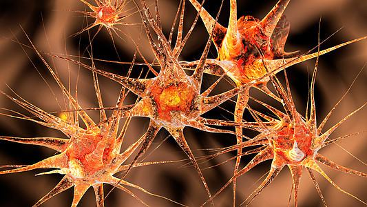 中日神经网络互动荷尔蒙信号头脑生物逻辑辉光智力科学细胞图片