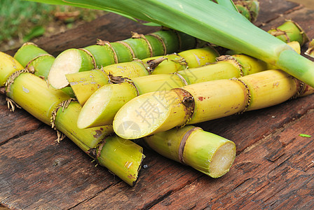 特写糖甘蔗纤维热带食物培育草本植物生产场地收成活力农场图片