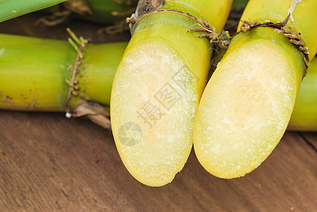 特写糖甘蔗果汁生长活力纤维生产植物培育食物草本植物农场图片