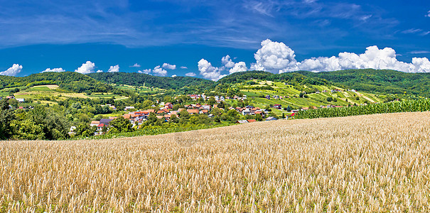Kalnik山的古老农业景观图片