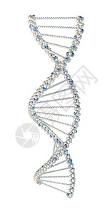 Human dna 字符串高清图片