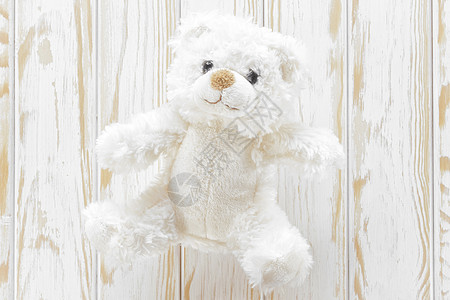 泰迪熊毛皮玩具动物柔软度婴儿礼物乐趣白色童年孩子图片