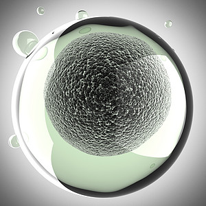 微型细胞科学插图技术微生物学怀孕胎儿施肥卵子胚胎生物学卫生显微镜图片