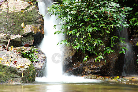 清凉风景小瀑布和小岩石 在森林中 泰王国生态公园山脉苔藓石头运动风景旅游绿色植物木头背景