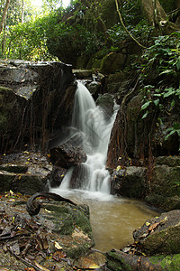 清凉风景小瀑布和小岩石 在森林中 泰王国墙纸木头环境风景远足荒野森林清凉公园运动背景