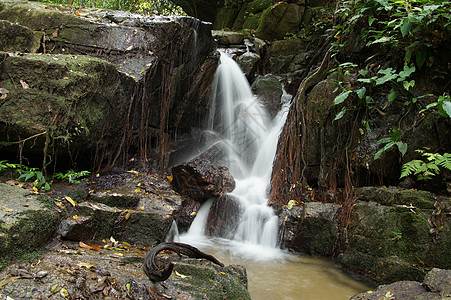 清凉风景小瀑布和小岩石 在森林中 泰王国公园森林溪流瀑布环境远足荒野木头墙纸绿色植物背景