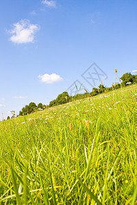 夏日的长春草原农场风景花园蓝色晴天阳光全景国家地平线栅栏图片