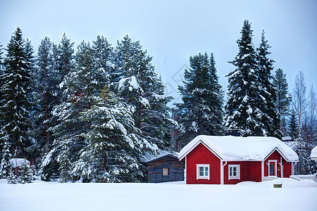 芬兰语房屋建筑学季节房子针叶树建筑木头农村谷仓孤独小屋图片