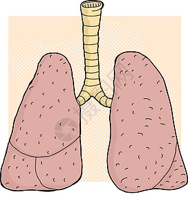 人类肺部卡通图片