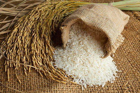 大米在布罗普麻袋种子黄色素食解雇水稻木头米粒白米帆布背景图片