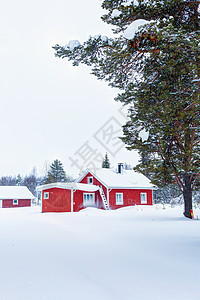 芬兰语房屋木头房子农村孤独天空针叶树小屋窗户谷仓森林图片