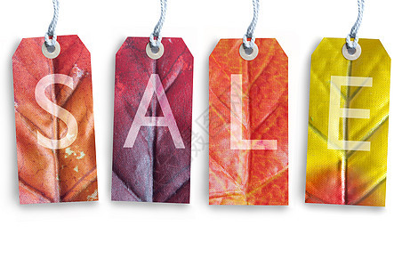 秋季销售树叶木头商业广告展示礼物营销季节性价格折扣图片