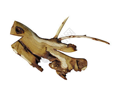 木鱼海洋棕色雕刻动物木头乡村艺术雕像白色图片