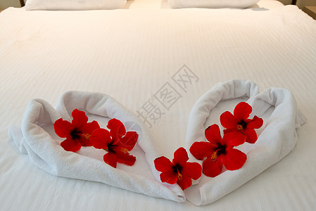 在蜜月床上用毛巾做的心图片