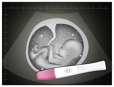 怀孕测试生育力胚胎保健子宫女人母性生长医疗药品生活图片