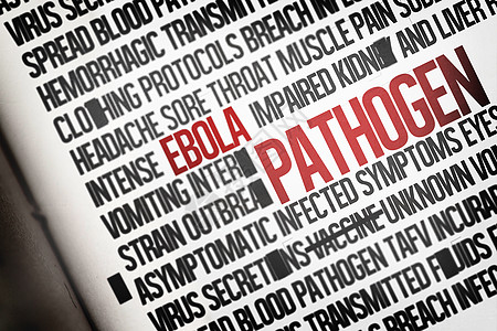 数字生成的ebola 单词群集绘图计算机流行语感染疾病呕吐致命疼痛症状头痛图片