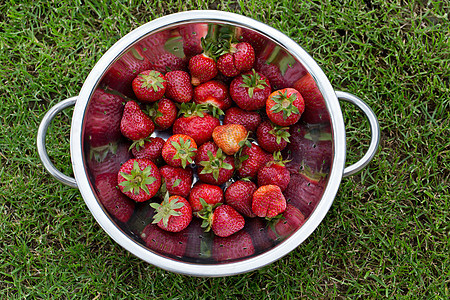 新鲜的成熟草莓绿色红色果味浆果食物甜点叶子饮食养分花园图片