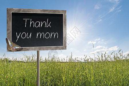 纸板和文字 谢谢妈妈框架卡片场地妈妈们环境母亲蝴蝶黑板植物地面图片