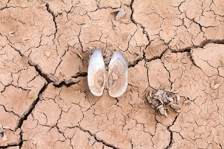 气候热水的气候热水变化动物荒野草原地面荒地地球沙漠土地海洋土壤图片