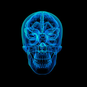 人脑X射线医疗扫描卫生黑色保健教育绿色颅骨药品x射线图片