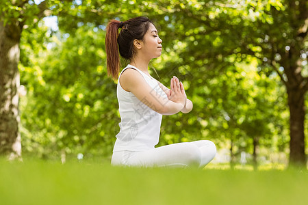 瑜伽绿色在公园与手搭手坐在一起的健康妇女姿势马尾辫运动生活方式女性调子活动草地体力黑发背景