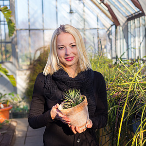 在温室工作的花女花店职业女士企业家女性苗圃植物学园丁园艺花朵图片