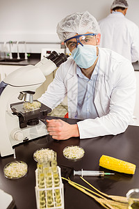 食品安全在显微镜下观察花盆的食品科学家发芽男性生物学家实验室科学生物学校基因大学生大学背景