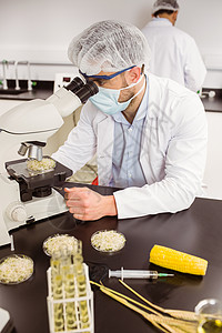 食品安全在显微镜下观察花盆的食品科学家生物安全防护学生混血研究大学教育高等教育大学生背景