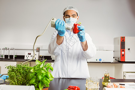 食品安全使用胡椒上装置的食品科学家实验室工作服学生大学技术医学防护食物手套知识背景