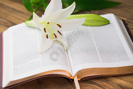 莉莉的花朵仰赖着开放圣经见证人浸信会福音祷告新教手稿页数公会弟兄们贵格图片
