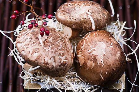 根底的蘑菇篮子季节蔬菜收成浆果木板美食叶子食物荒野图片