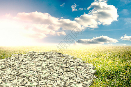 成堆美元的复合图象多云草地经济财富数字绘图草原计算机蓝色金融图片