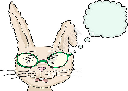 带眼镜的孤立索巴兔背景图片