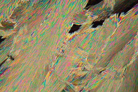 显微镜下的乙酰硅酸水晶对称生物显微照片彩虹生活生命科学科学科学家宏观图片