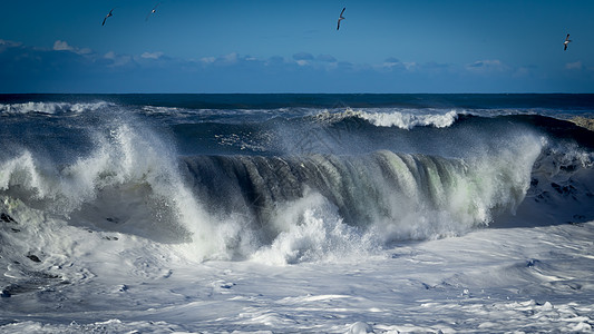 海浪海鸥断波波支撑气候太阳海岸线天空风暴休息戏剧性蓝色液体背景